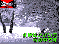 Consadole WINTER version