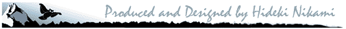signature logo mini size
